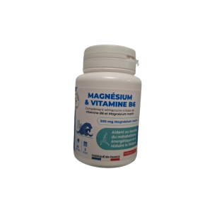 Giphar Magnesium/vit B6 Gelule 90